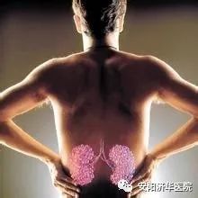 泌尿系结石的临床表现及治疗